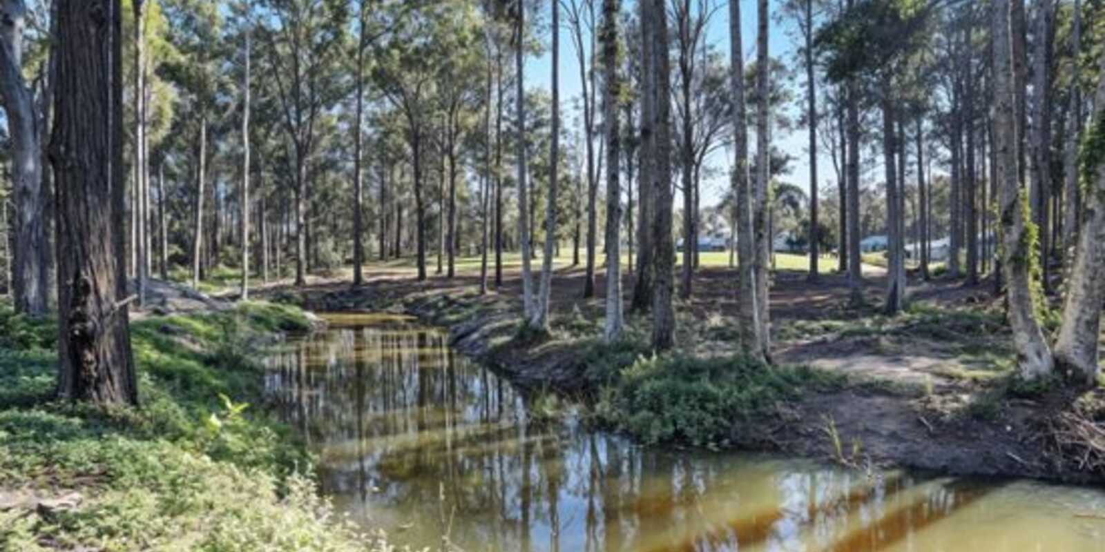 79 Mount Mee Road Delaneys Creek